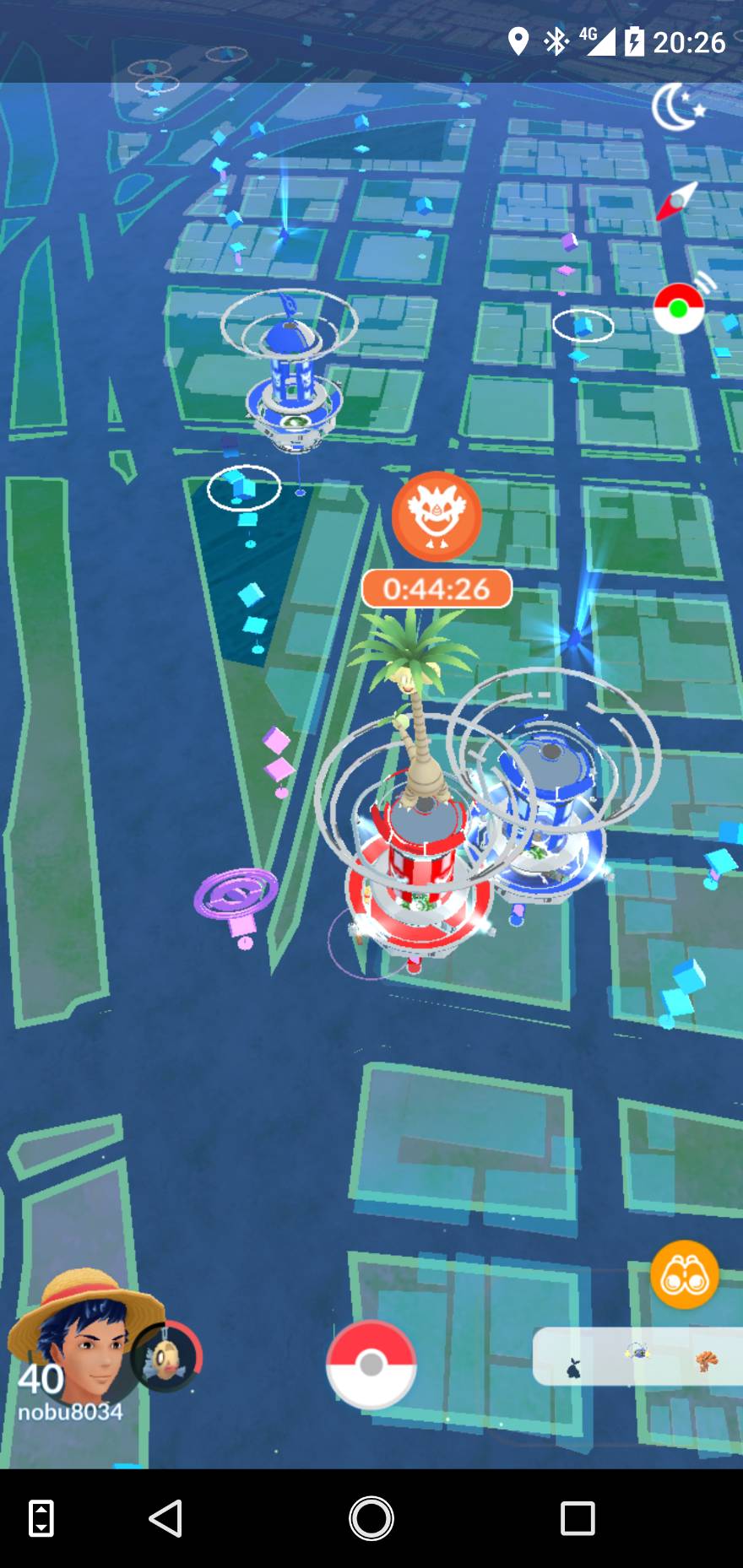 横浜 関内のポケ活ポケジム ミニウサギはじめました 芸能ネタ アニメネタetcまとめて見ました