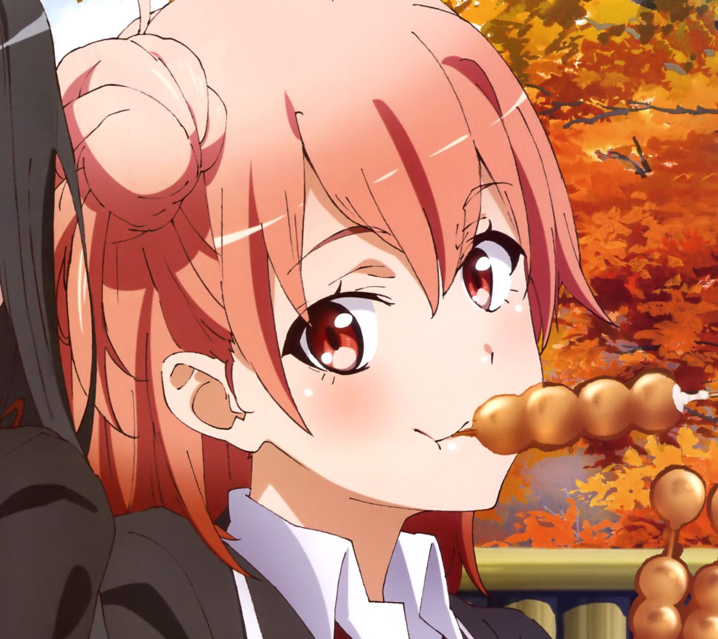 やはり俺の青春ラブコメはまちがっている パズル作ってみた ミニウサギはじめました ウサギとラットの飼育 ポケモンｇｏ情報