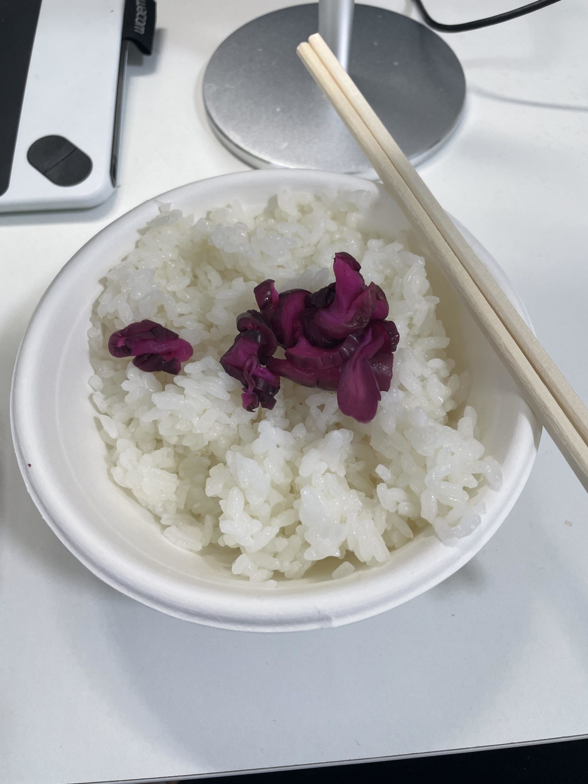 ワイ 貧乏人間 大学生の昼飯がこちら ミニウサギはじめました ウサギとラットの飼育 ポケモンｇｏ情報