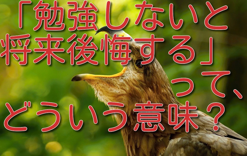 勉強しないとお前らのようになるぞ 生活保護が 親族にバラされる 扶養照会制度の残酷 ミニウサギはじめました 芸能ネタ アニメネタetcまとめて見ました