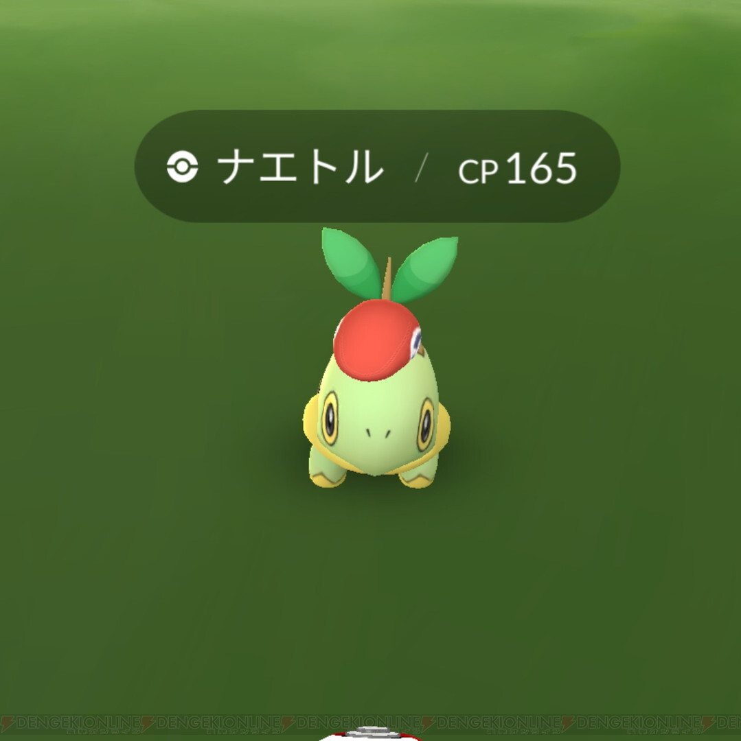 ポケモンｇｏ 進化できない帽子ナエトル マジいらねｗ ミニウサギはじめました 芸能ネタ アニメネタetcまとめて見ました